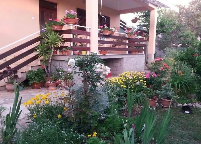 Dragica - With Nice View Zadar